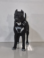 3Д фигурка - Домашен Любимец - Персонализирана Фигурка