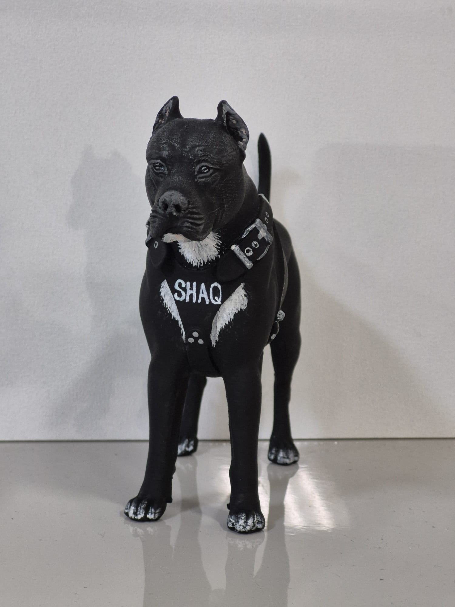 3Д фигурка - Домашен Любимец - Персонализирана Фигурка