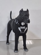 3Д фигурка - Домашен Любимец - Персонализирана Фигурка